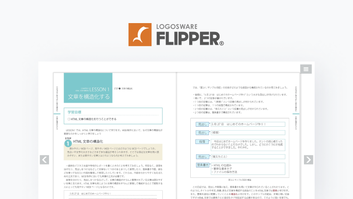 LOGOSWARE FLIPPER