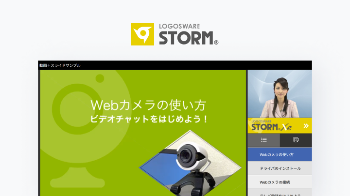 LOGOSWARE STORM